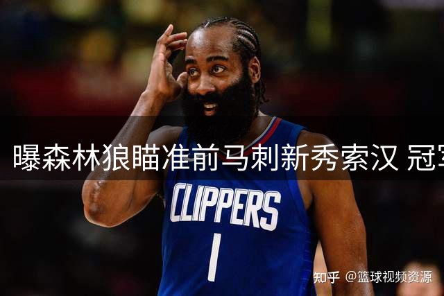 曝森林狼瞄准前马刺新秀索汉 冠军成员沃特福德同入引援名单